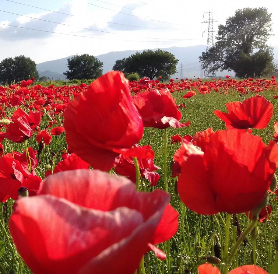 Podere Sanlorenzo Карминьяно Экстерьер фото